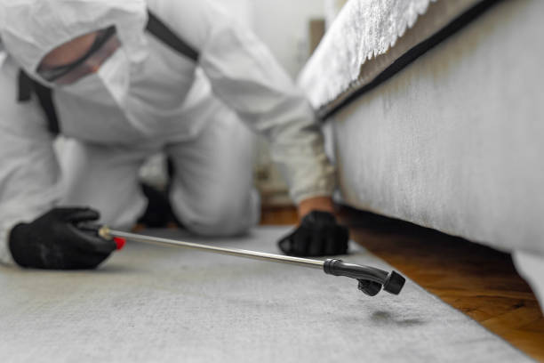 Professional Pest Control technician working in Jackson County County, KY